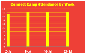 Connect Camp Daily Stats